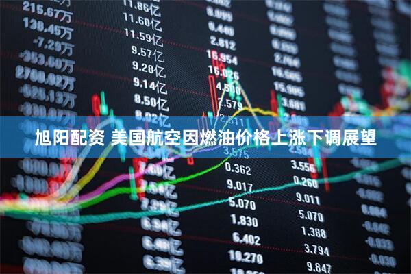 旭阳配资 美国航空因燃油价格上涨下调展望
