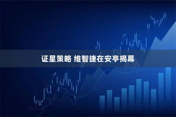 证星策略 维智捷在安亭揭幕